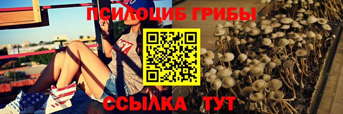 Псилоцибиновые грибы GOLDEN TEACHER Кушва
