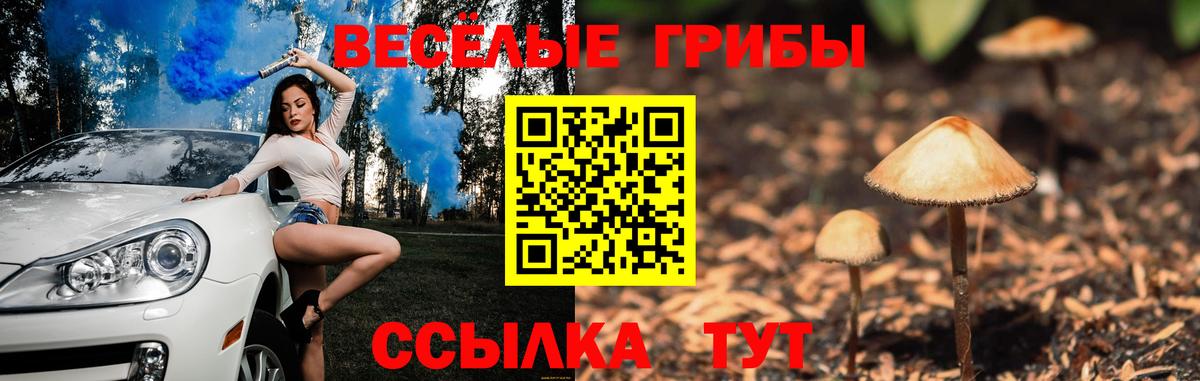 наркошоп  Галлюциногенные грибы Psilocybe  Кушва  Вход с VPN  Псилоцибиновые грибы прущие грибы 